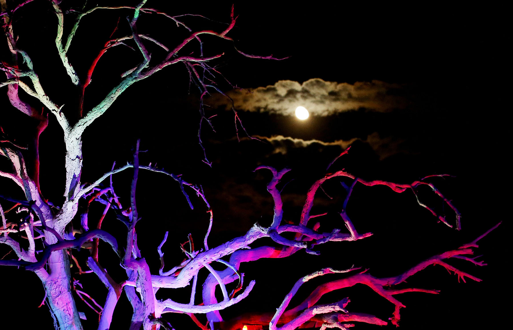 GLOW! 2017 festival in Oracle